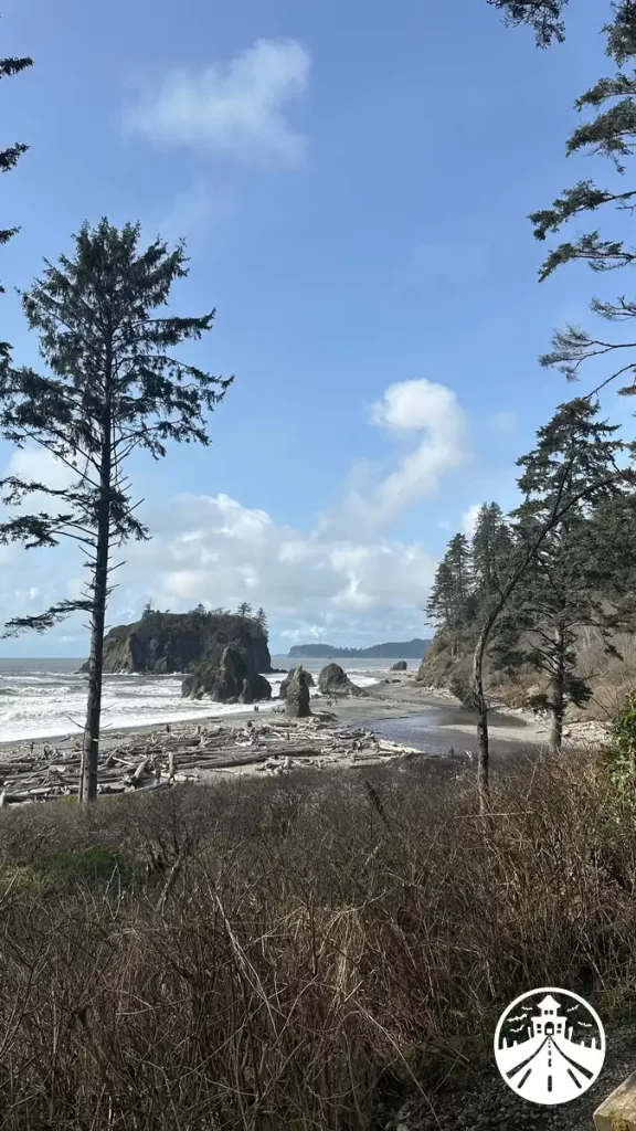 Ruby Beach on a sunny day with blue skies, driftwood-strewn shoreline, and sea stacks in the distance.